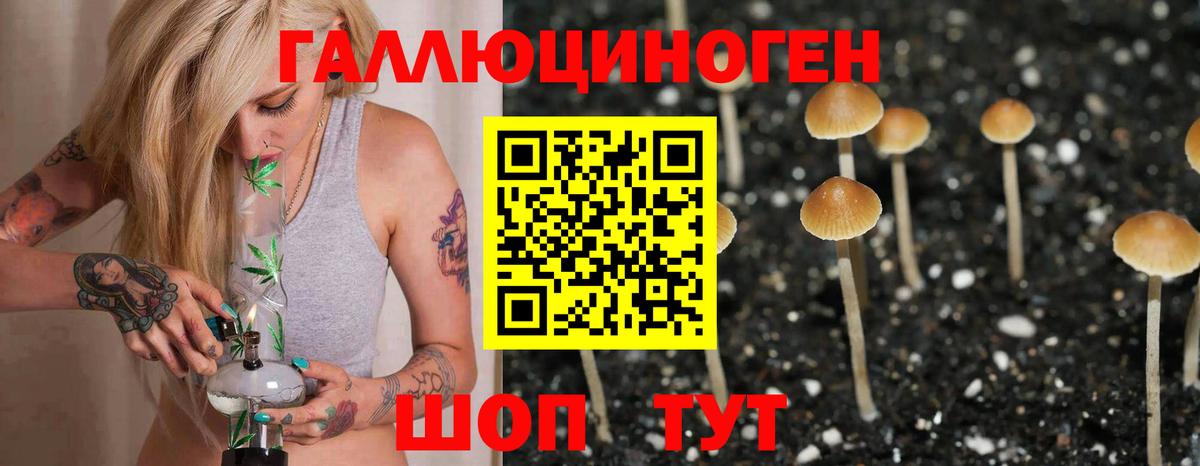 Псилоцибиновые грибы ЛСД  Вход с VPN  Гай 